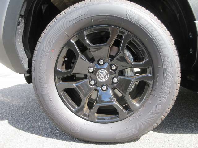 Toyota Land Cruiser FJ 10