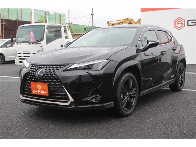 Lexus UX 11