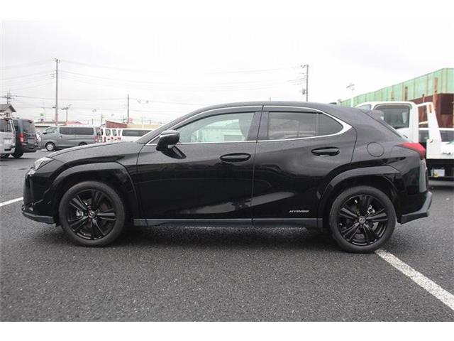 Lexus UX 12