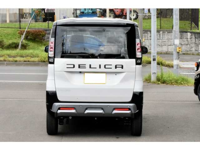 Mitsubishi Delica Mini 11