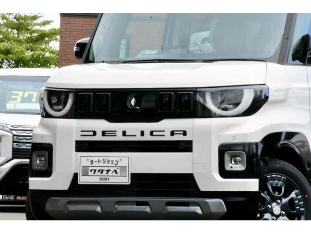 Mitsubishi Delica Mini 7
