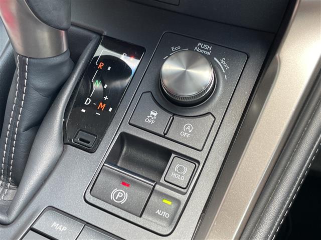 Lexus NX 12