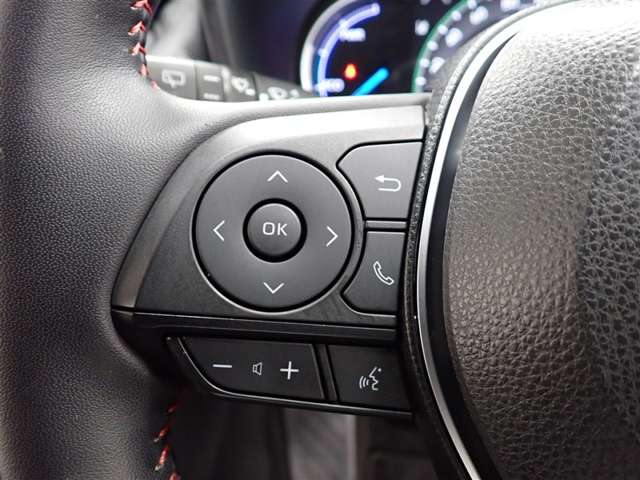 Toyota RAV4 PHV 11