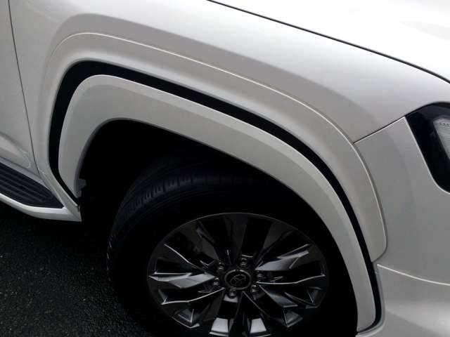 Toyota Land Cruiser 300 9