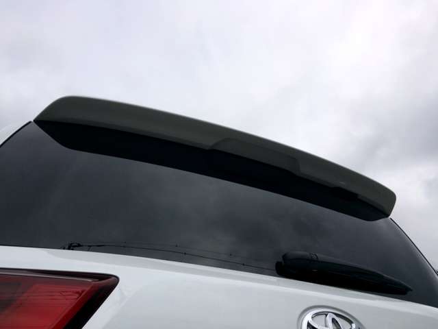Toyota Land Cruiser 300 10