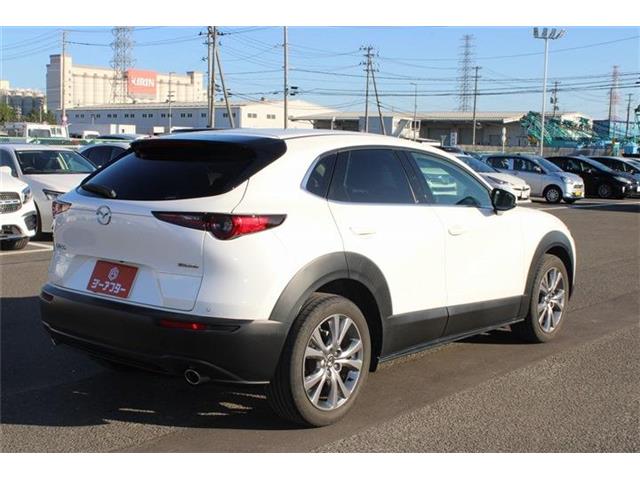 Mazda CX-30 11