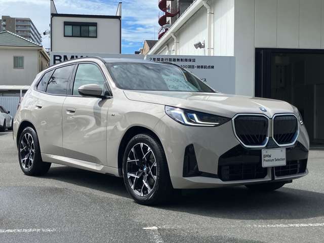 BMW X3 6