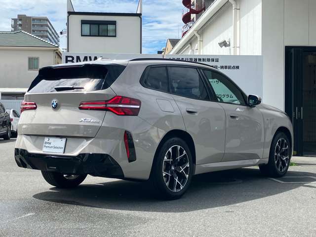 BMW X3 8