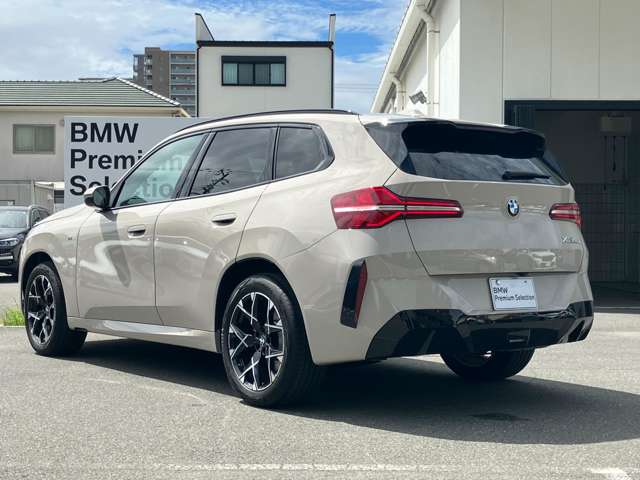 BMW X3 10