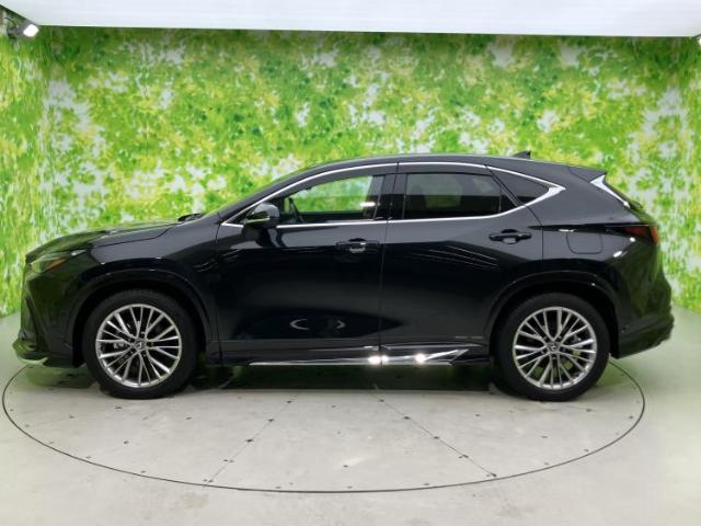 Lexus NX 5