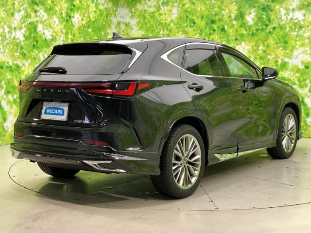 Lexus NX 6