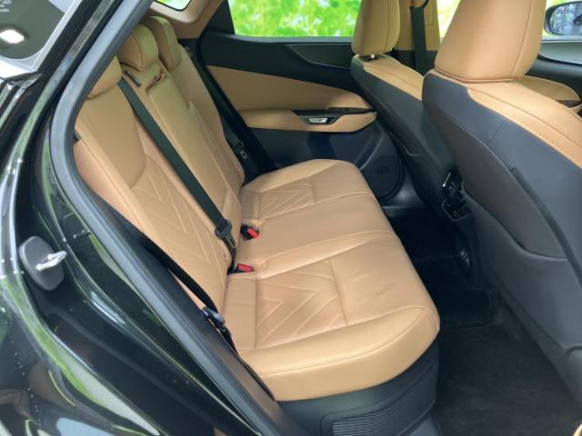 Lexus NX 7