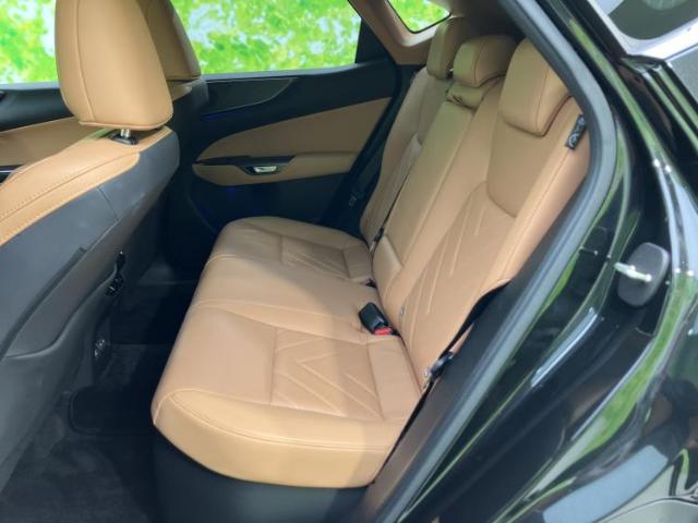 Lexus NX 9