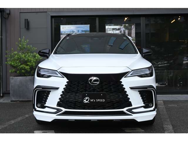 Lexus RX 6