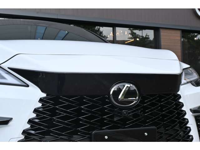 Lexus RX 8