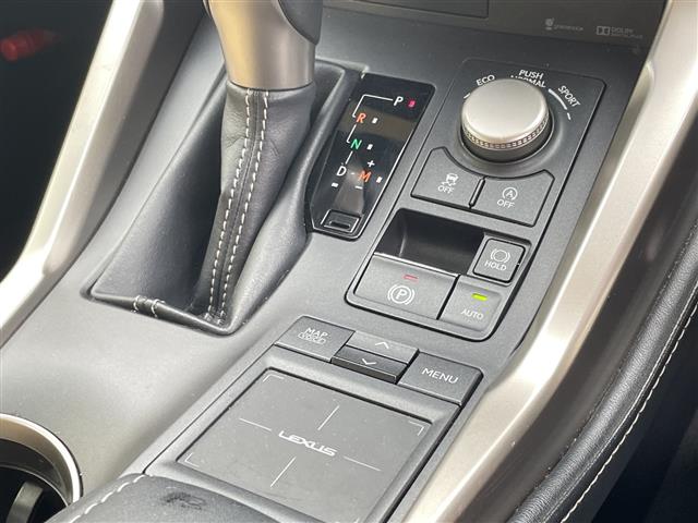 Lexus NX 12