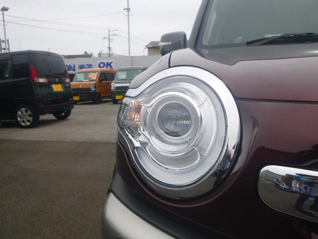 Suzuki XBEE 5