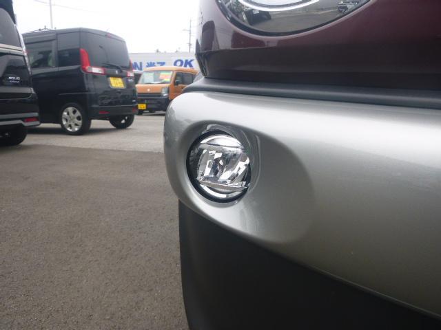 Suzuki XBEE 6