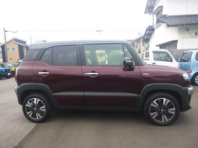 Suzuki XBEE 9