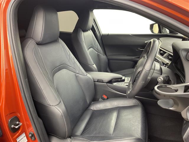 Lexus UX 11