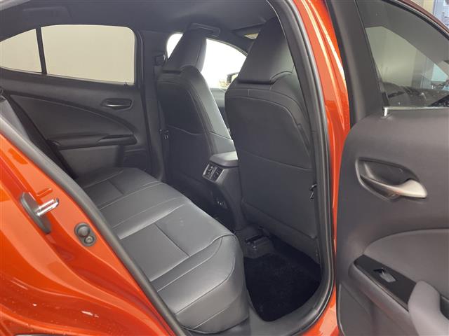 Lexus UX 12