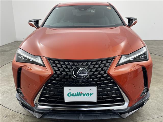 Lexus UX 6