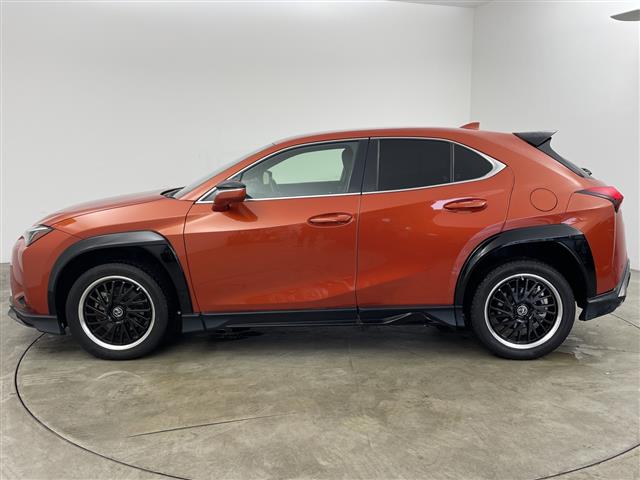 Lexus UX 8