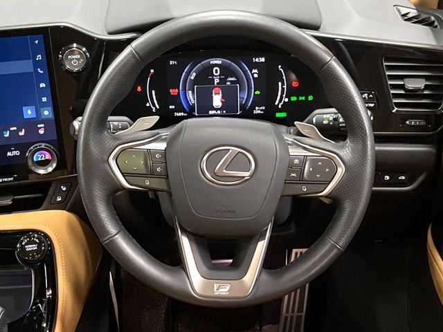 Lexus NX 11