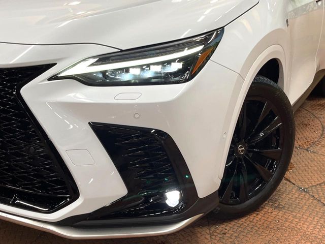 Lexus NX 12