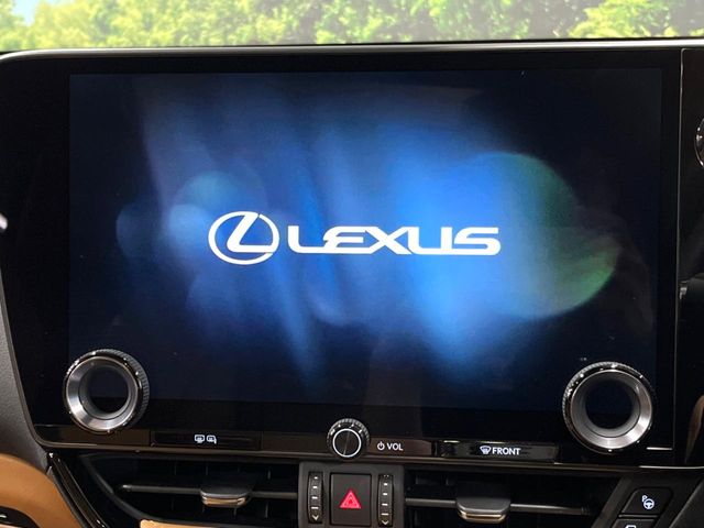 Lexus NX 4