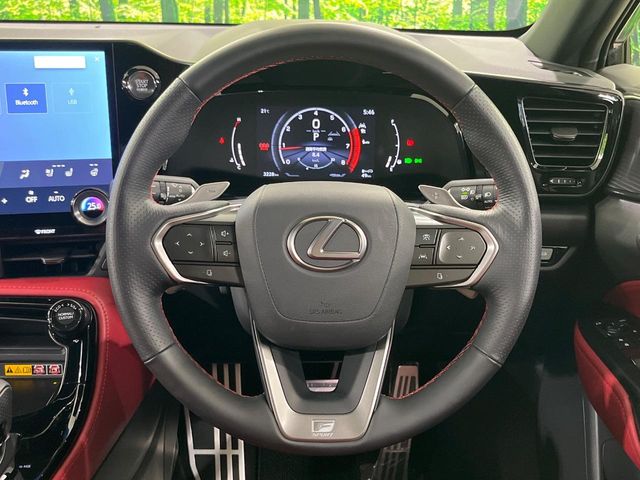 Lexus NX 11