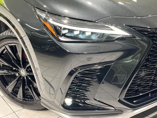 Lexus NX 12