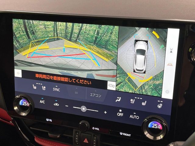 Lexus NX 4