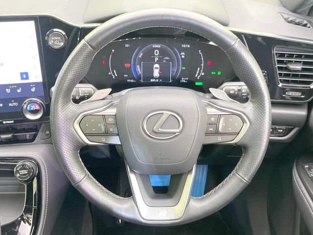 Lexus NX 11