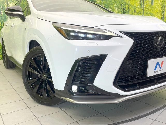 Lexus NX 12