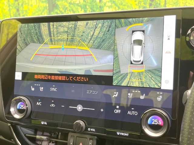 Lexus NX 4