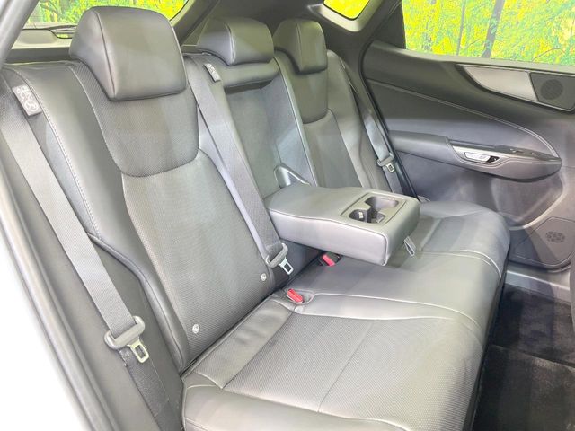 Lexus NX 9