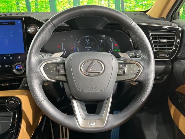 Lexus NX 11