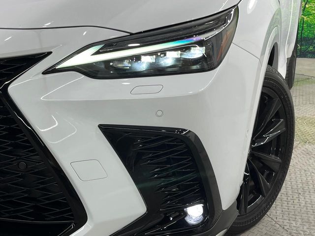 Lexus NX 12