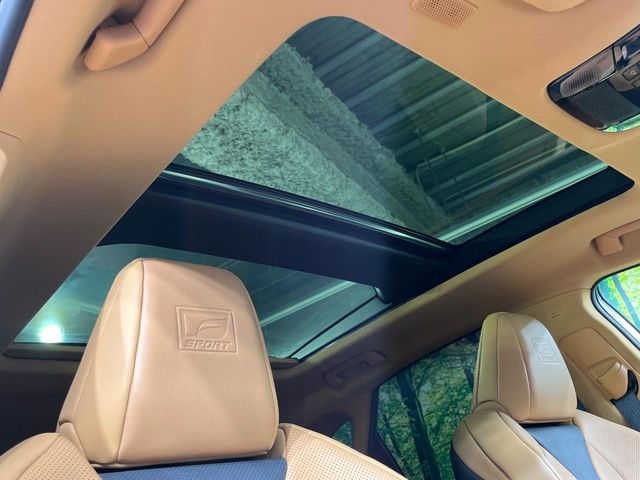 Lexus NX 3