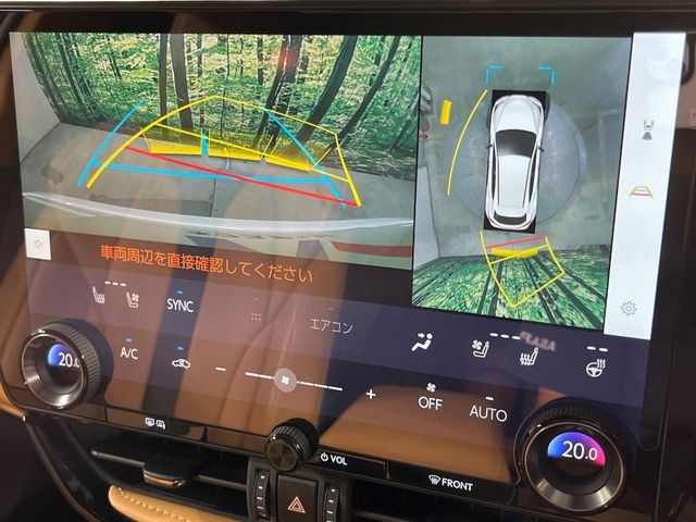 Lexus NX 6