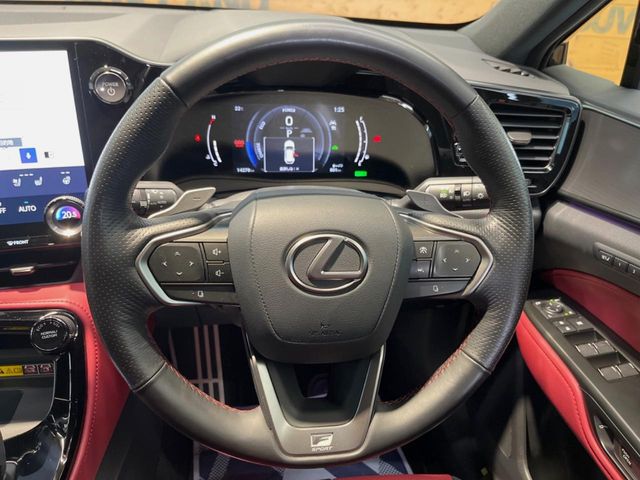 Lexus NX 12
