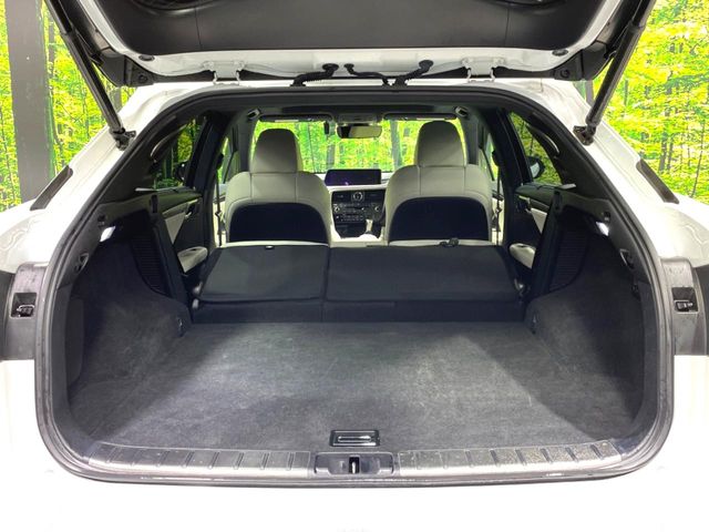 Lexus RX 12