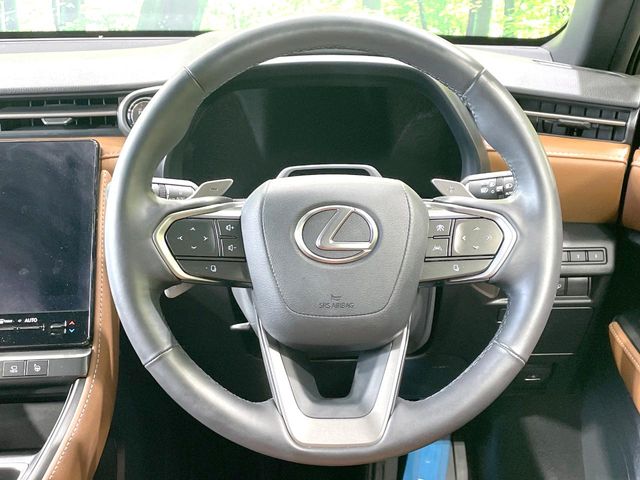 Lexus LBX 11