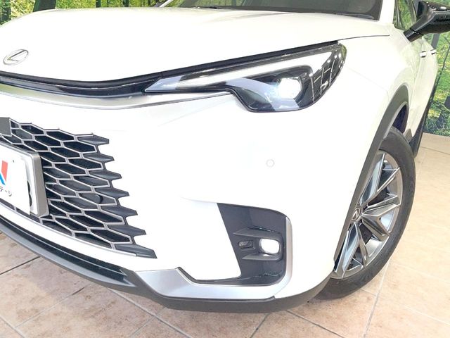 Lexus LBX 12