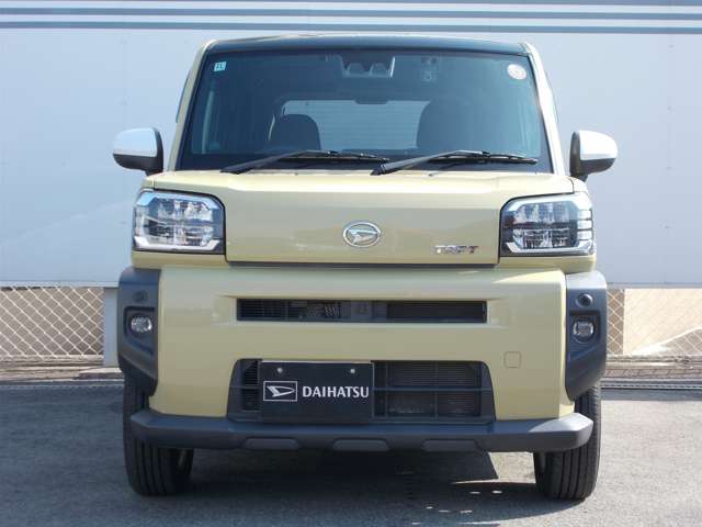 Daihatsu Taft 8