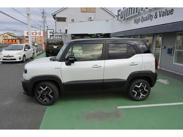 Suzuki XBEE 6