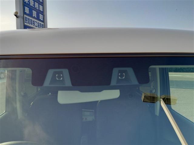 Suzuki Hustler 11