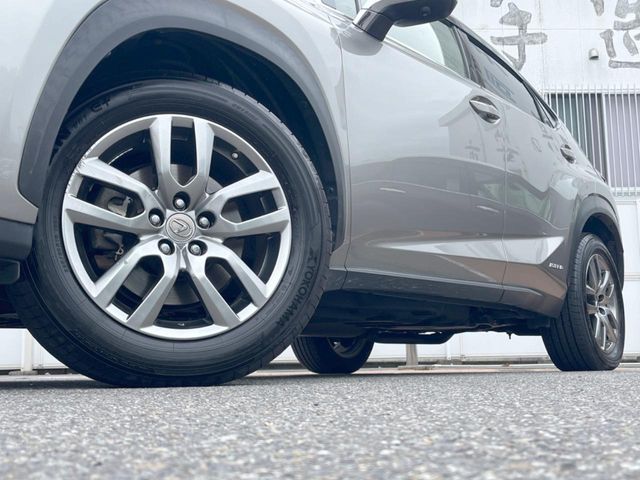 Lexus NX 11