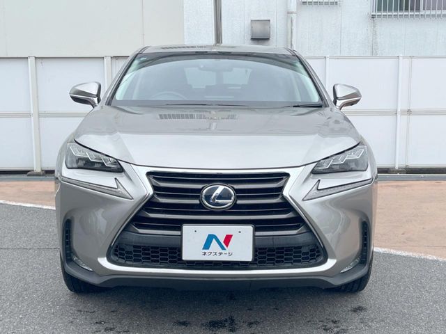 Lexus NX 12